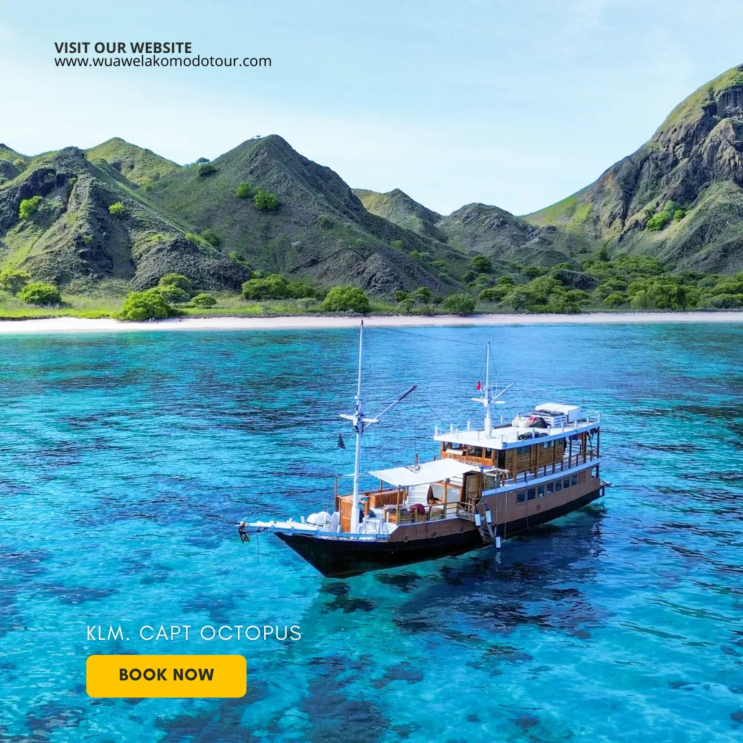 2 Days 1 Night Komodo Phinisi Sail: Dragons, Reefs & Sunset Magic