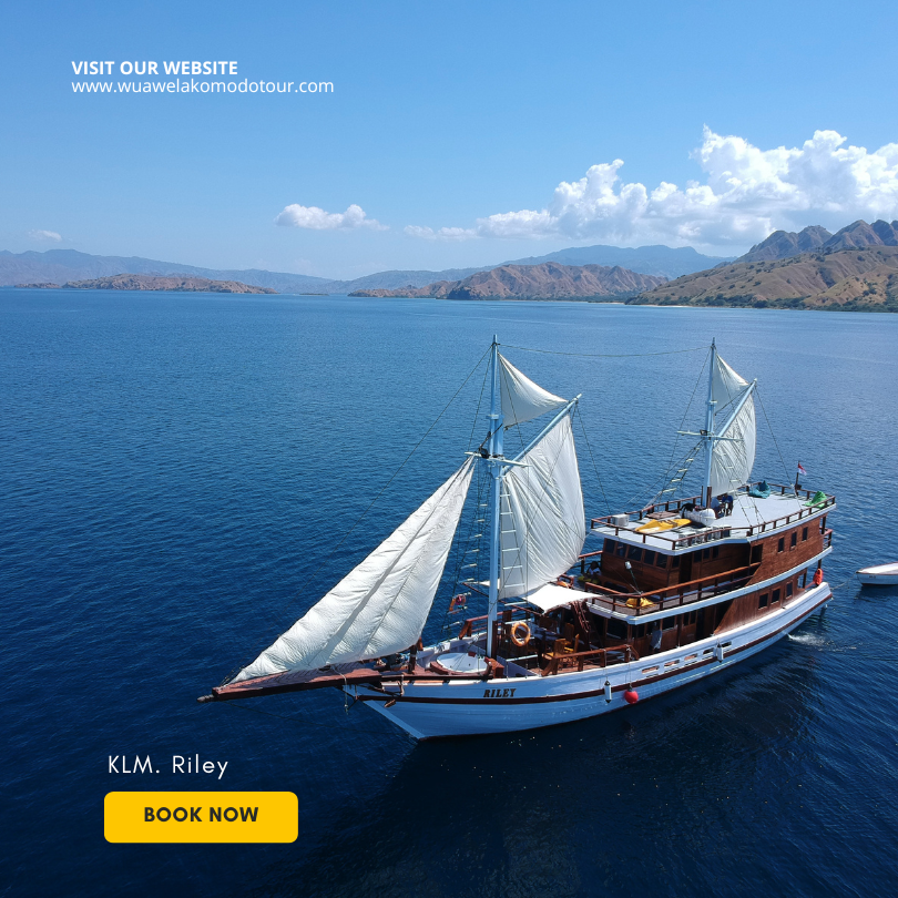 Discover Komodo Like Royalty – Private Phinisi Sailing Expedition