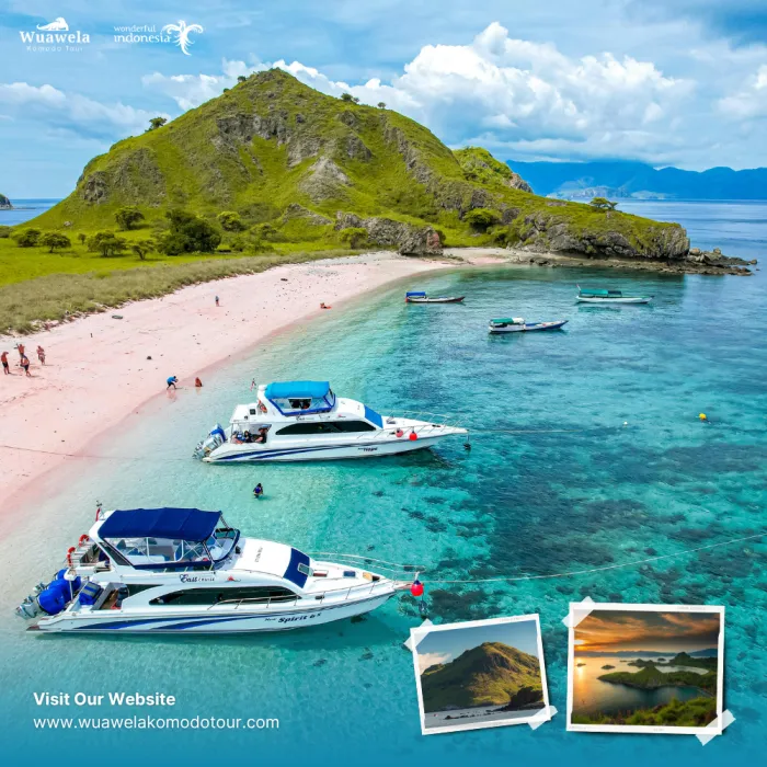 Exclusive Wuawela Komodo Tour: Beat the Crowds by Speed Boat
