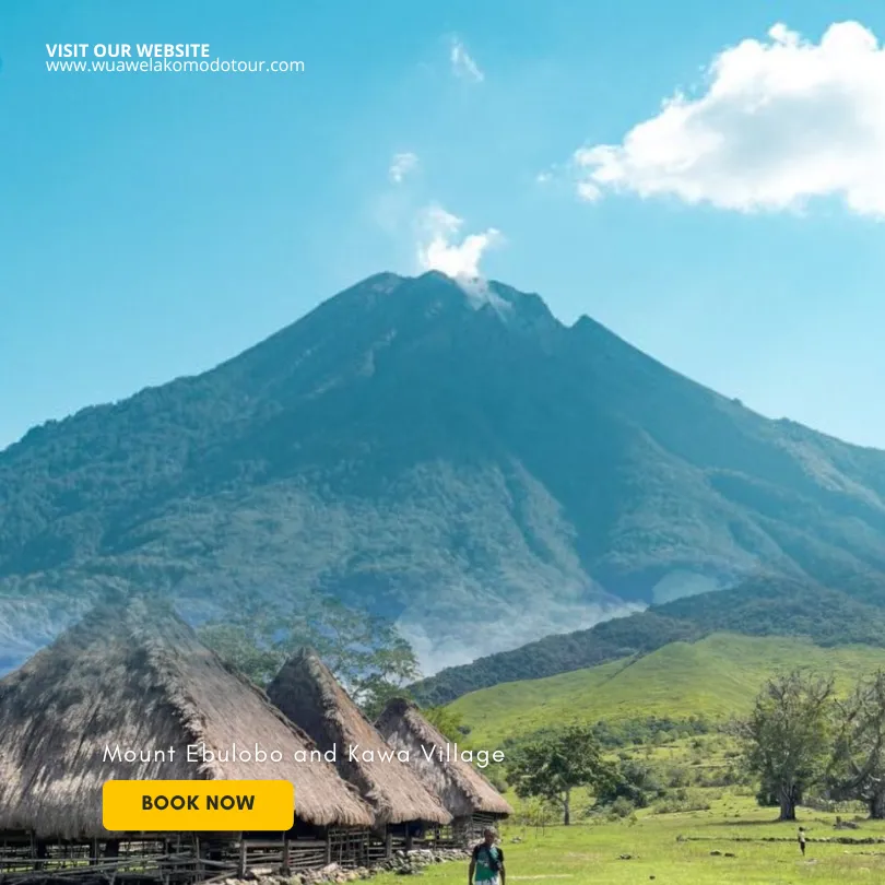 Hiking the Majestic Mount Ebulobo