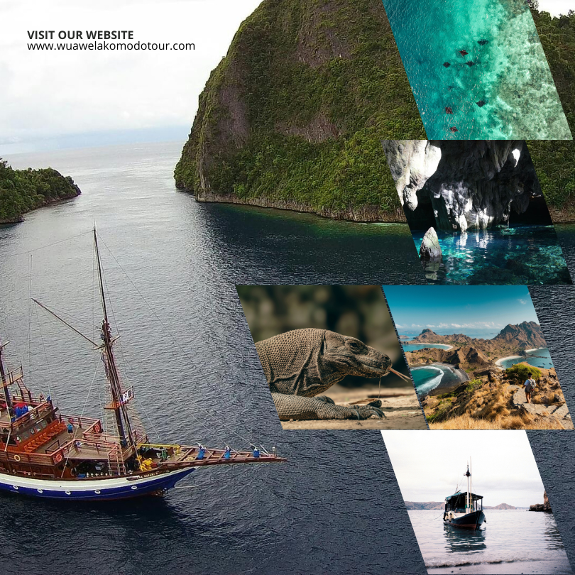 Discover Komodo Like Royalty – Private Phinisi Sailing Expedition