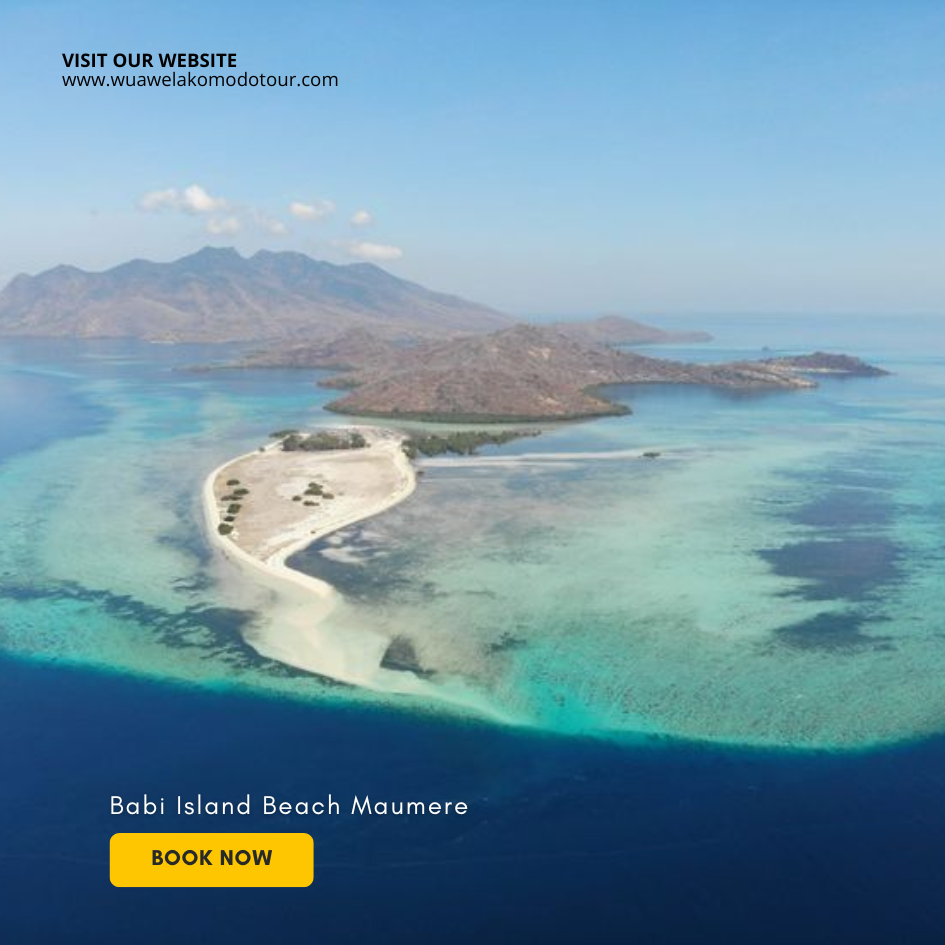 Tropical Underwater Jewel in Maumere Bay